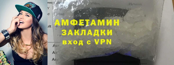твердый Инта